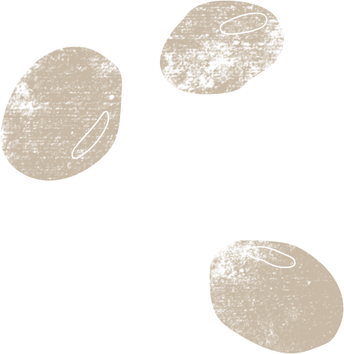 illustration fèves de soja